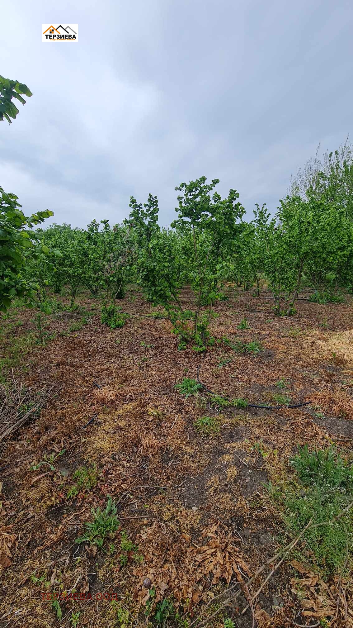 Продава ПАРЦЕЛ | Imot.bg — изображение 5