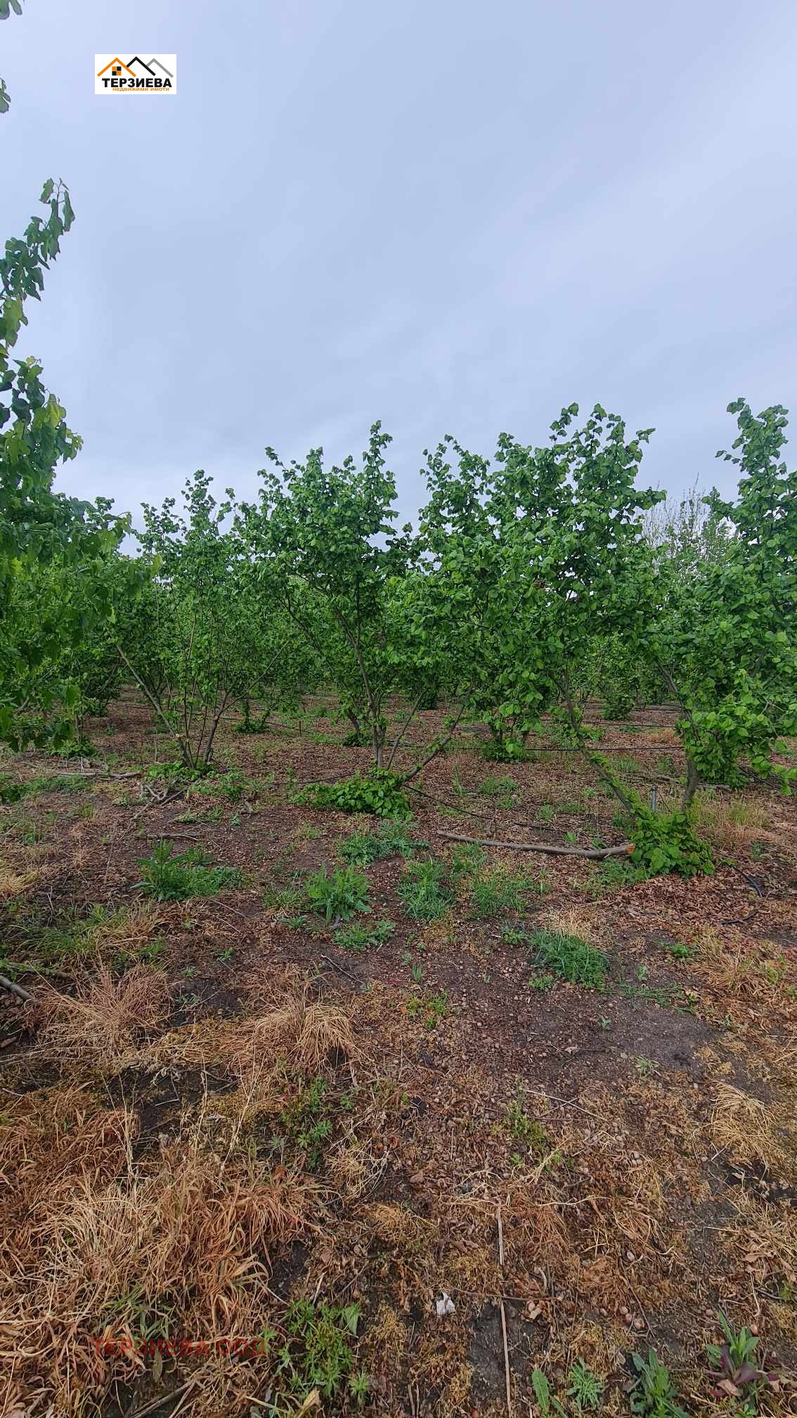 Продава ПАРЦЕЛ | Imot.bg — изображение 7