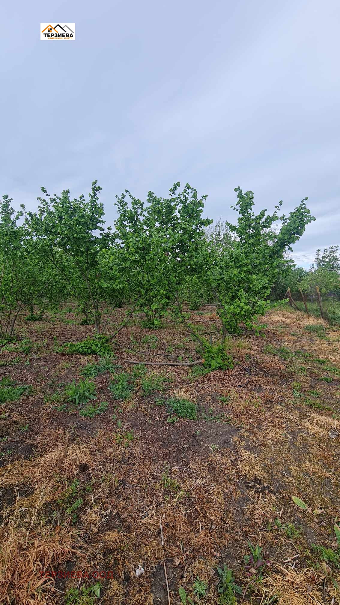 Продава ПАРЦЕЛ | Imot.bg — изображение 6