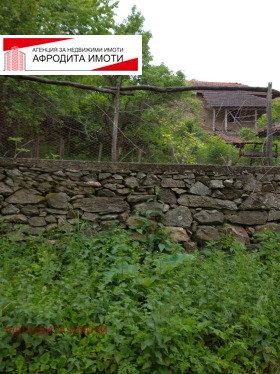 Hus Kazanka, region Stara Zagora 3