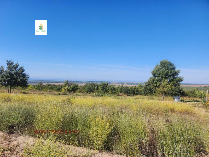 In vendita  Complotto regione Varna , Bliznatsi , 27231 mq | 72951693 - Immagine [6]