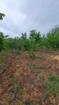 Продава ПАРЦЕЛ, с. Пъстрен, област Стара Загора, снимка 4