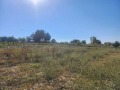 Продава ПАРЦЕЛ, област Варна, с. Близнаци • 580000 € / 1134381.40 лв. • 21491963 9