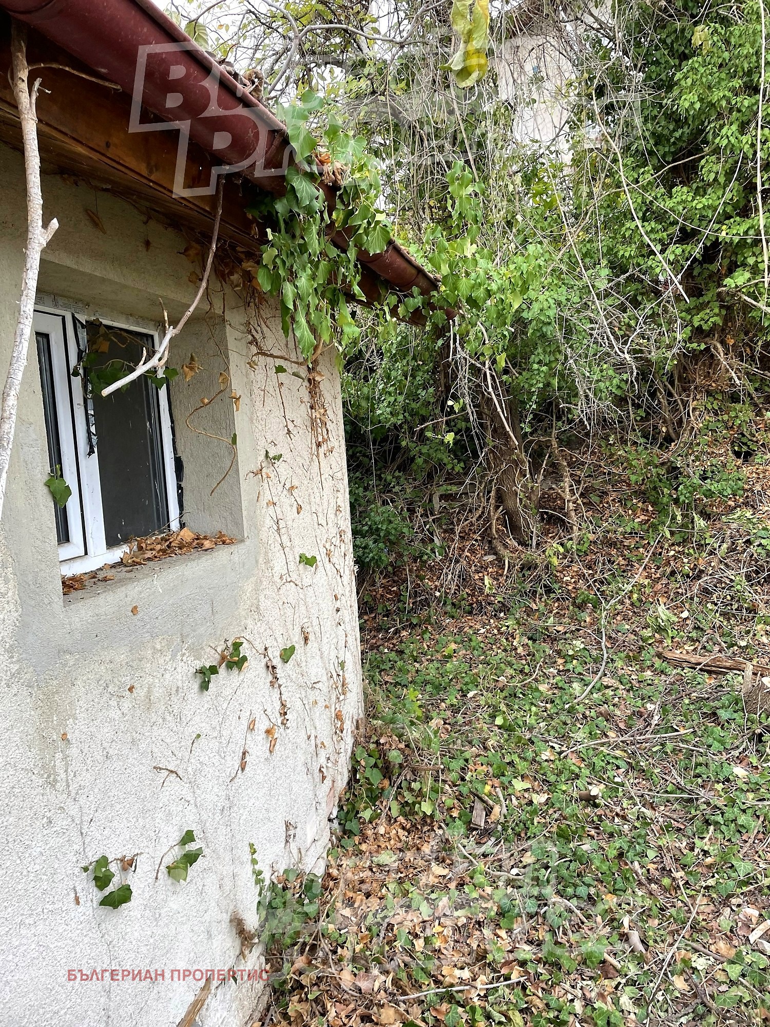 ������� ���� | Imot.bg � ����������� 17