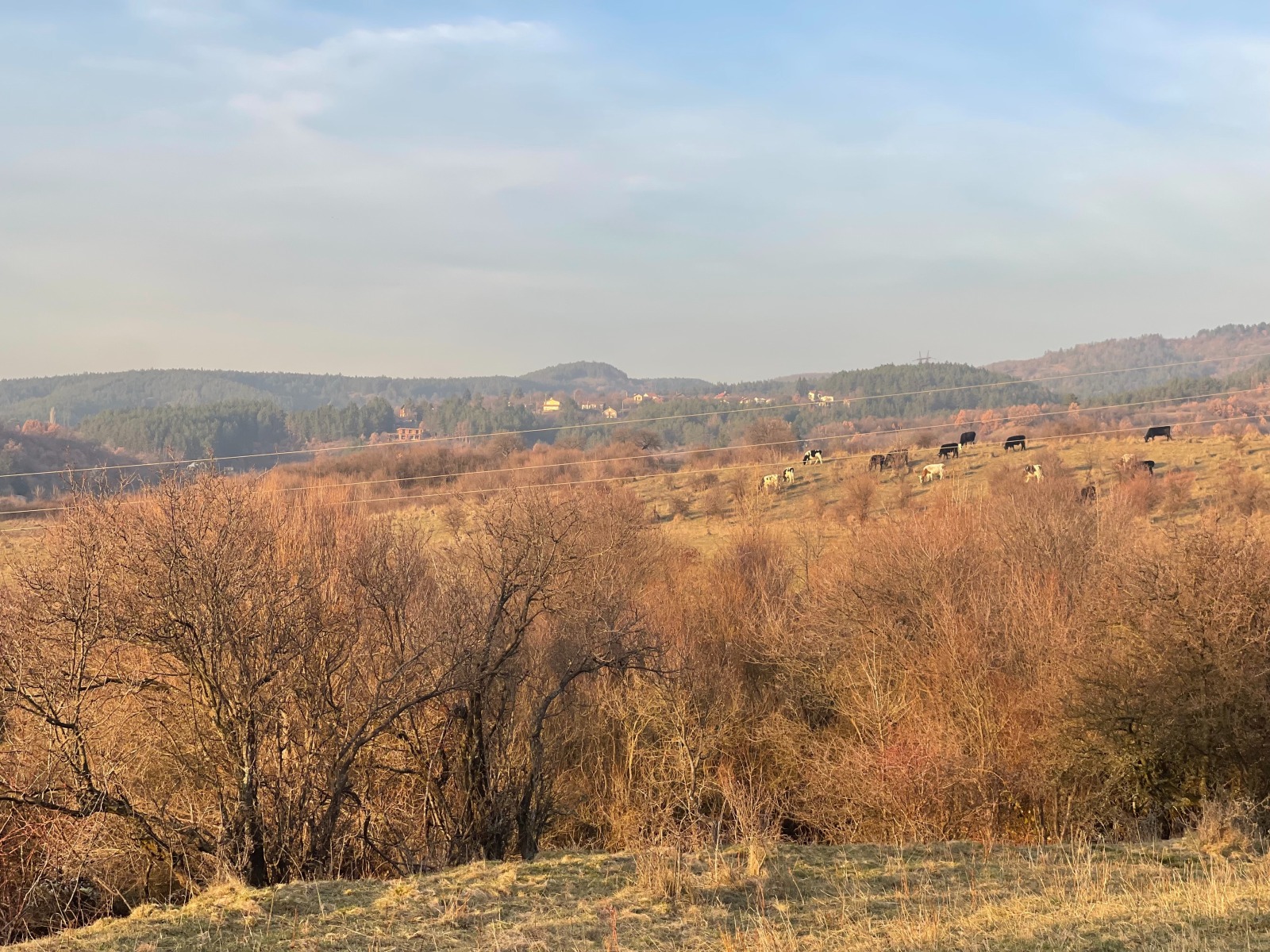 ������� ���������� ���� | Imot.bg � ����������� 2