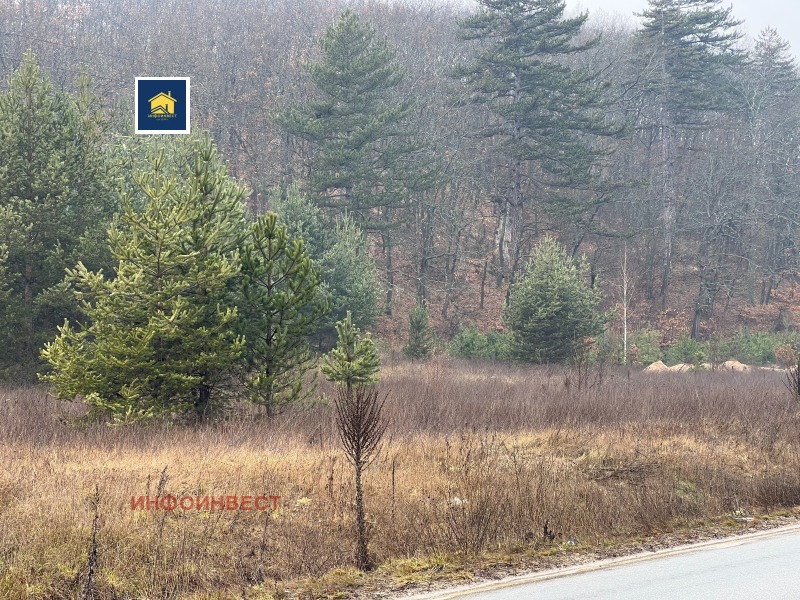 Продава ПАРЦЕЛ, гр. Велинград, област Пазарджик, снимка 2 - Парцели - 53281125