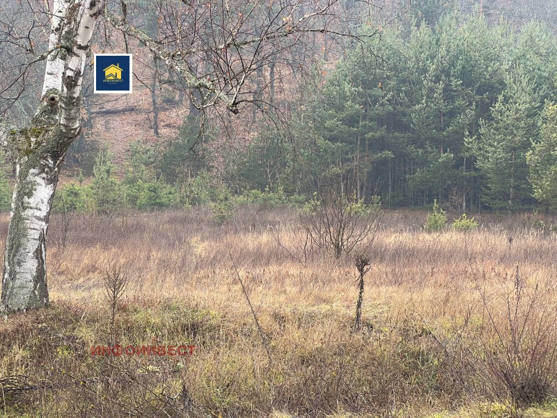 Продава ПАРЦЕЛ, гр. Велинград, област Пазарджик, снимка 3 - Парцели - 53281125