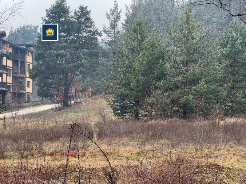 Продава ПАРЦЕЛ, гр. Велинград, област Пазарджик, снимка 4 - Парцели - 53281125