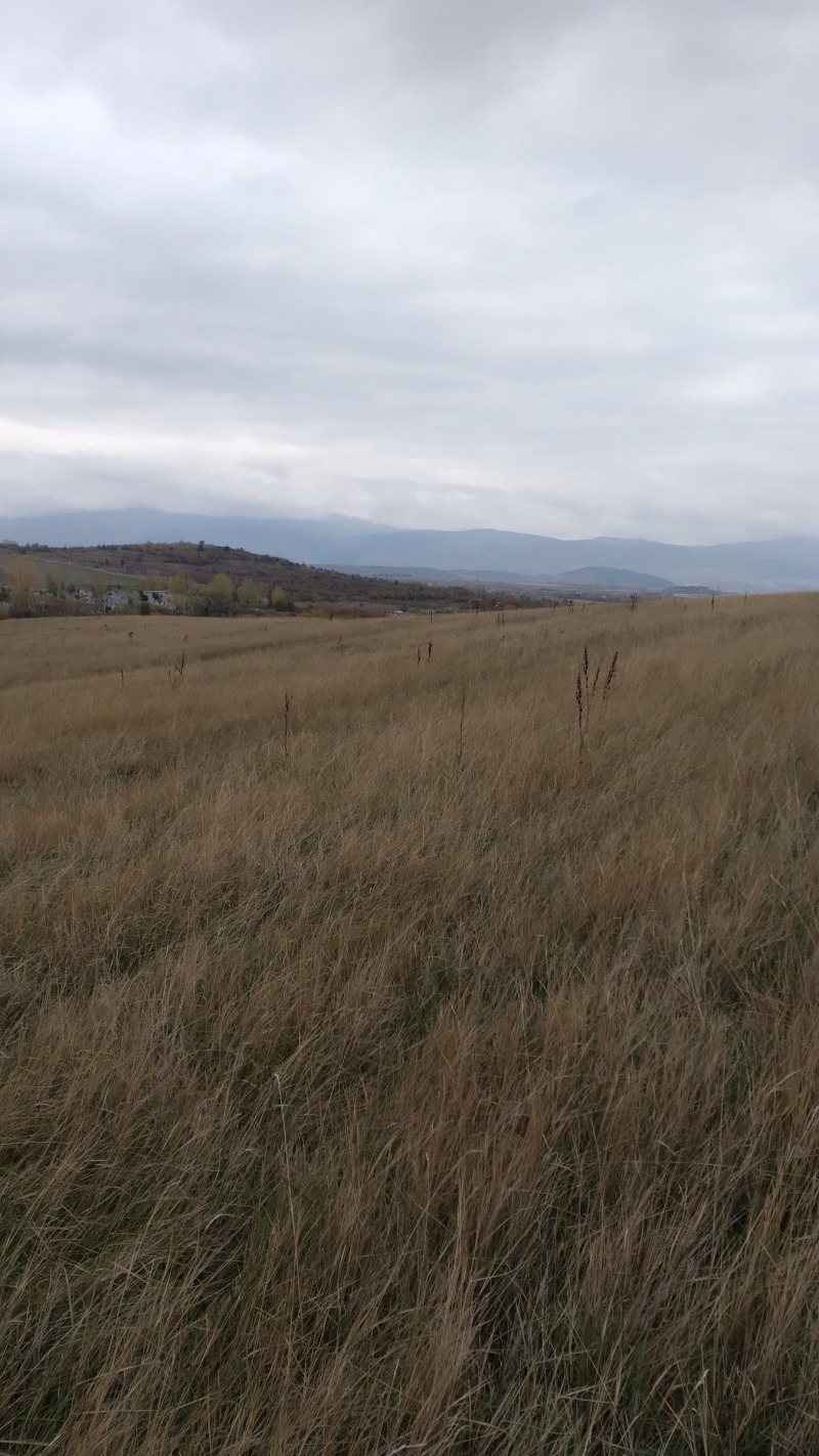 Продава ЗЕМЕДЕЛСКА ЗЕМЯ, с. Жиленци, област Кюстендил