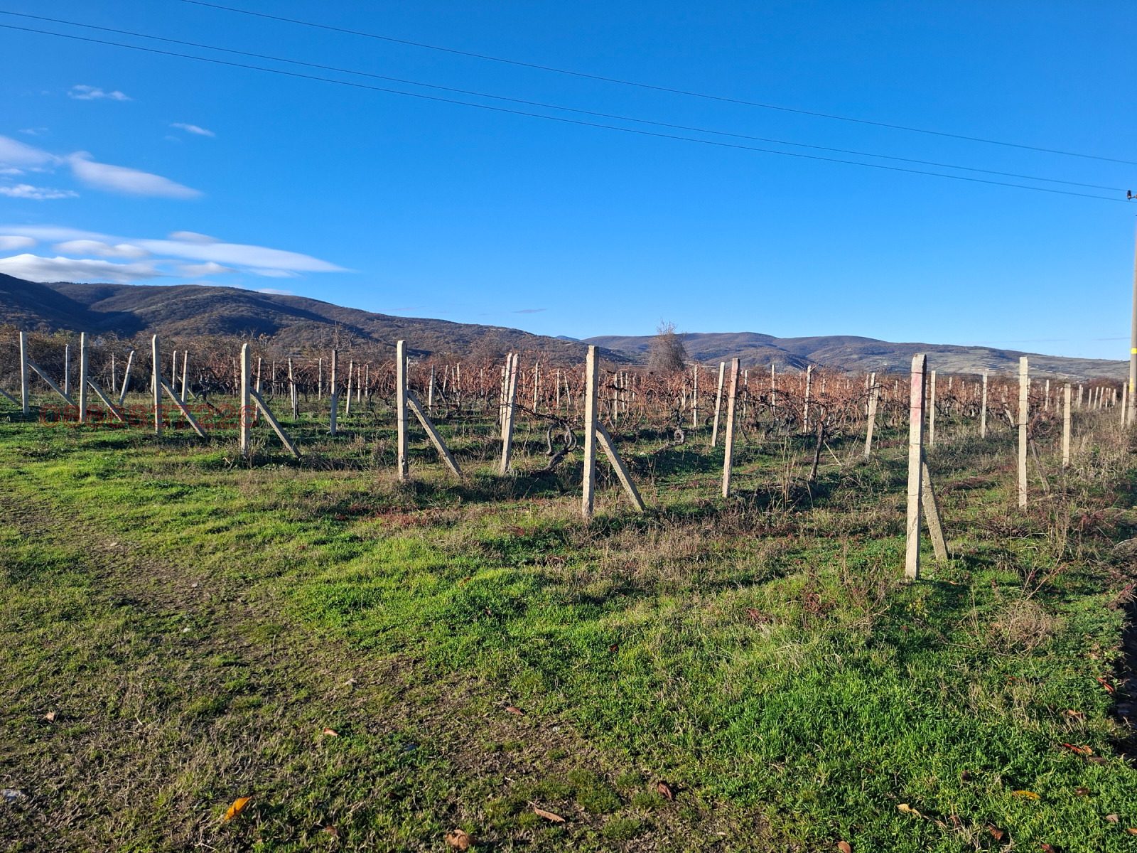 Продава ЗЕМЕДЕЛСКА ЗЕМЯ, с. Марково, област Пловдив, снимка 3 - Земеделска земя - 53711683