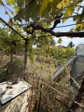 Продава КЪЩА, с. Щръклево, област Русе, снимка 2