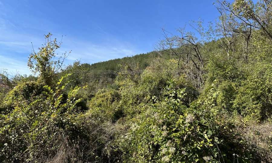 Продава ПАРЦЕЛ | Imot.bg — изображение 8