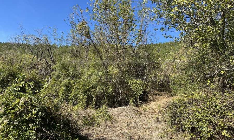 Продава ПАРЦЕЛ | Imot.bg — изображение 2