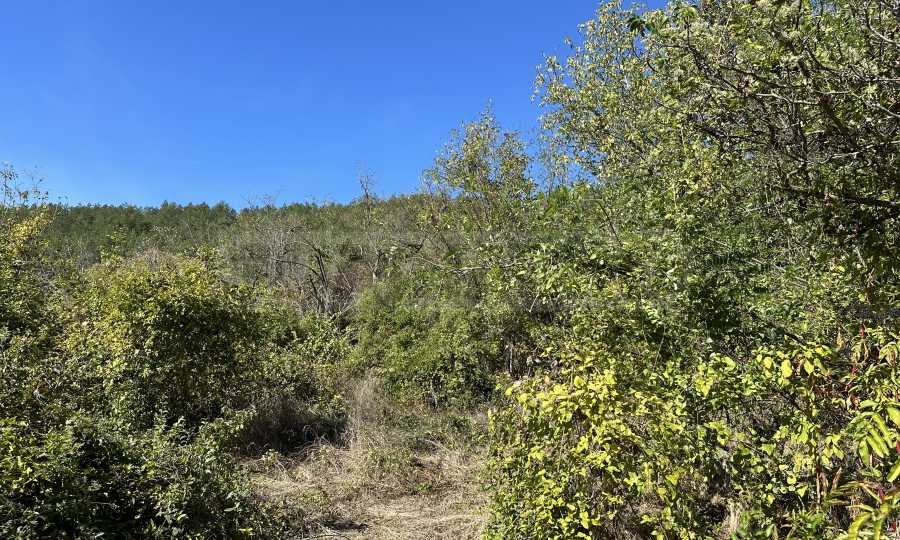 Продава ПАРЦЕЛ | Imot.bg — изображение 4