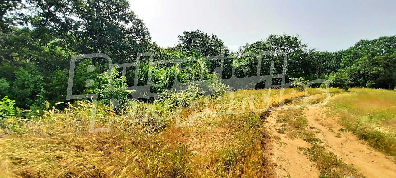 ������� ������ | Imot.bg � ����������� 7