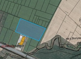 ������ ������� ������