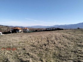 ����� ������� ������,�. ������, ������ �����