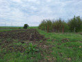 Продава ЗЕМЕДЕЛСКА ЗЕМЯ, гр. Костинброд, област София област, снимка 5