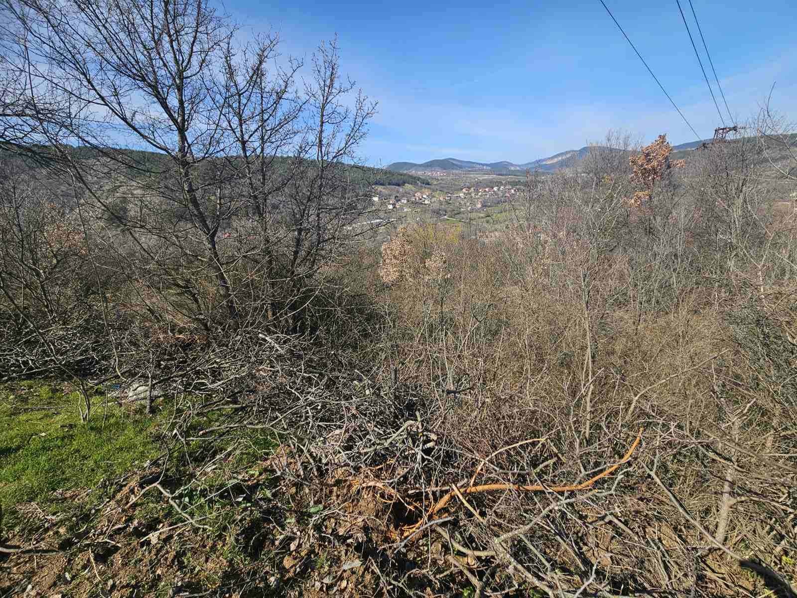 Продава ПАРЦЕЛ, гр. Кърджали, Прилепци, снимка 2 - Парцели - 53853334