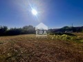 Продава ПАРЦЕЛ, с. Батишница, област Русе, снимка 6