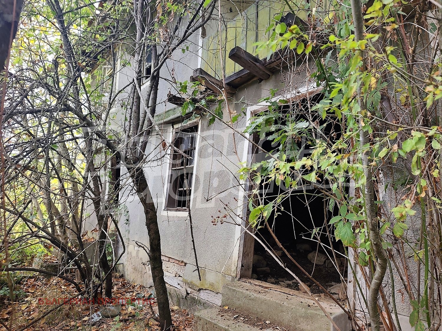 ������� ���� | Imot.bg � ����������� 11
