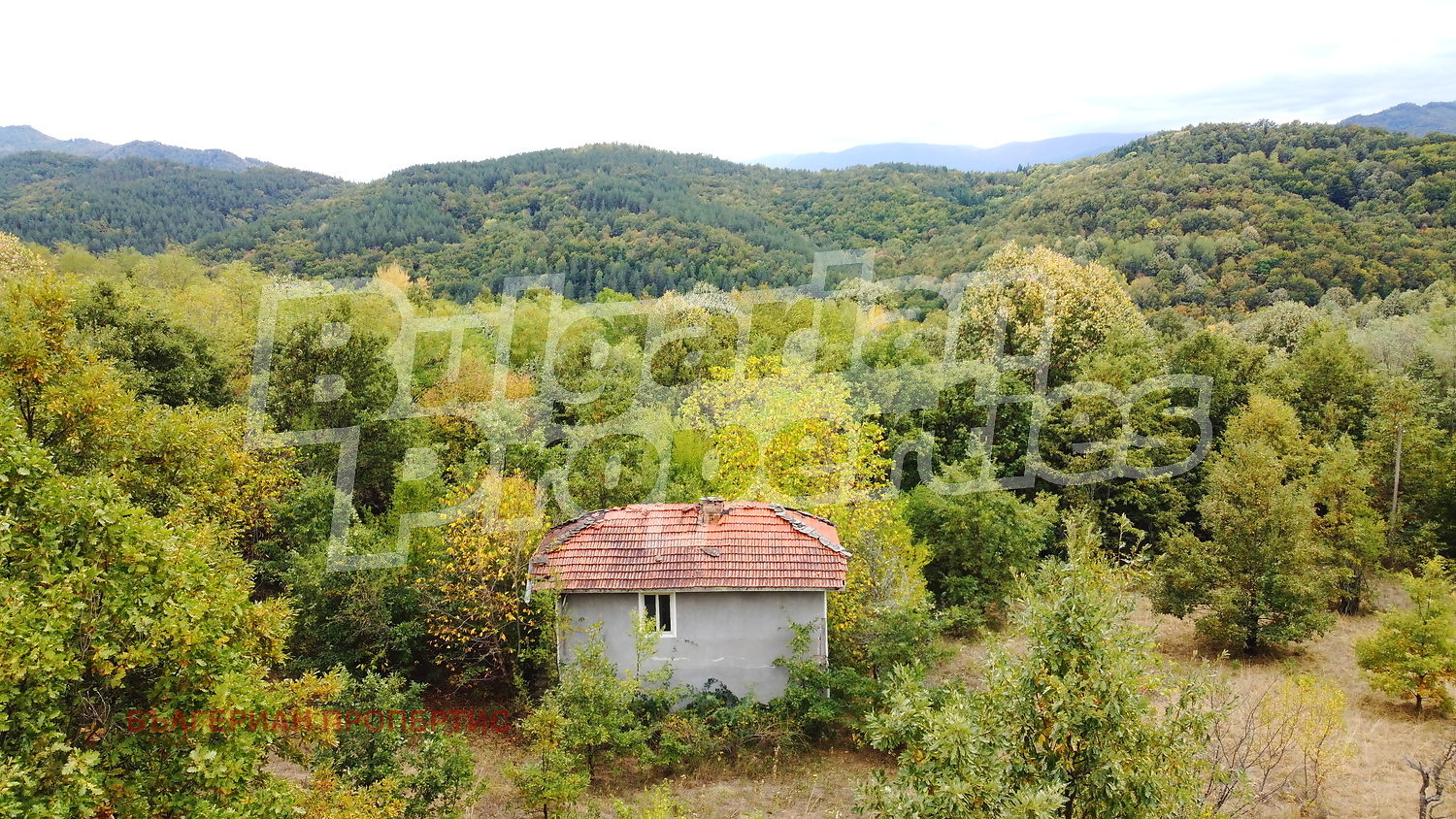 ������� ���� | Imot.bg � ����������� 1