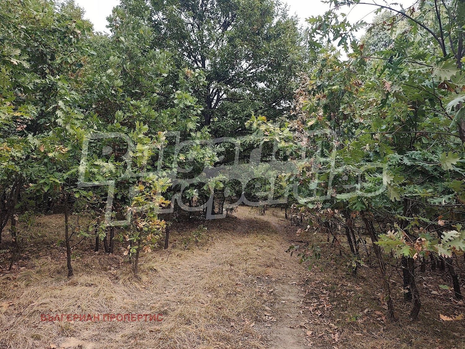 ������� ���� | Imot.bg � ����������� 16