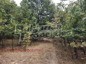 ������� ���� | Imot.bg � ����� ������ 16