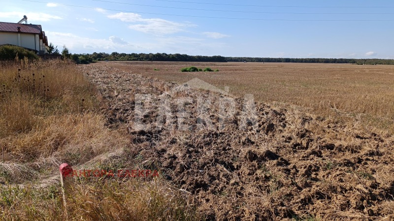 À venda  Trama região Varna , Chkorpilovci , 10730 m² | 83103795 - imagem [8]