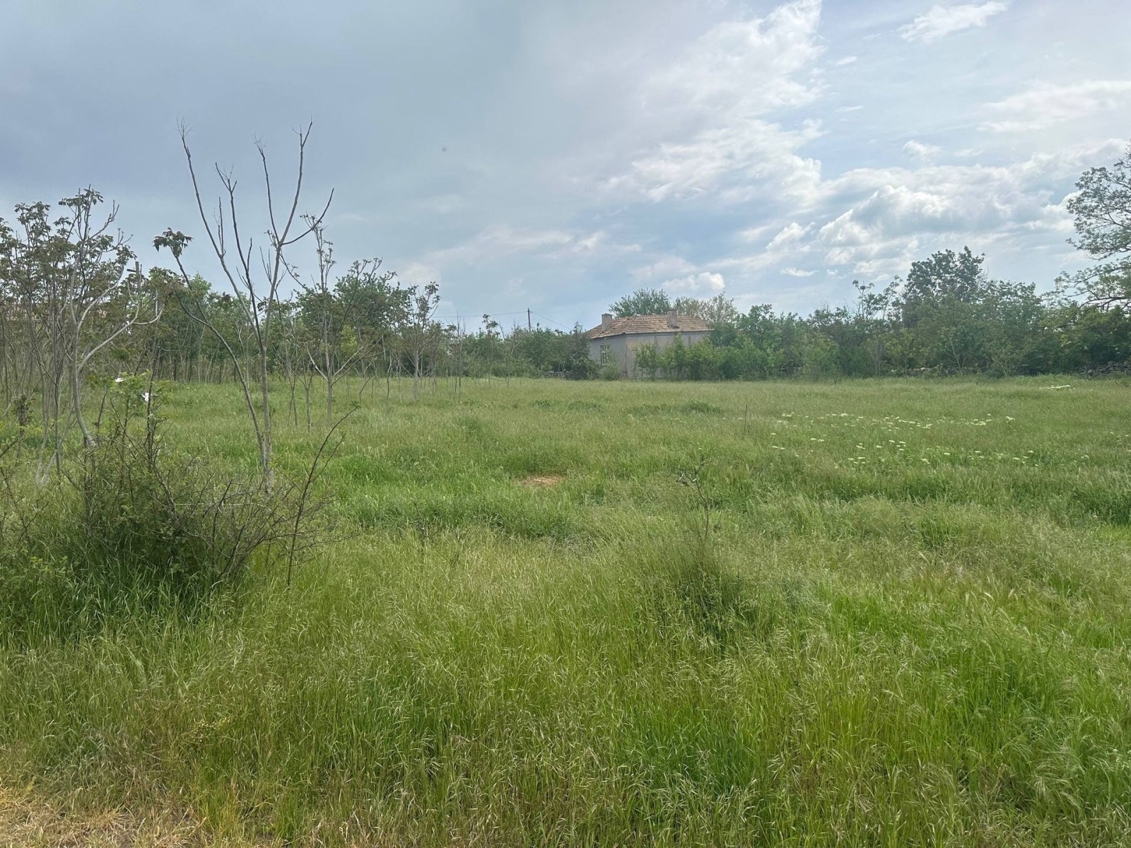 Продава ПАРЦЕЛ, с. Неофит Рилски, област Варна, снимка 3 - Парцели - 54863133