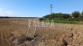 Продава ПАРЦЕЛ, с. Шкорпиловци, област Варна, снимка 2