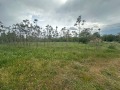 Продава ПАРЦЕЛ, с. Неофит Рилски, област Варна, снимка 5