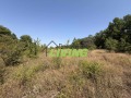Продава ПАРЦЕЛ, с. Гълъбово, област Пловдив, снимка 1