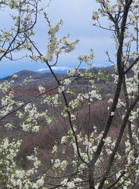 ������� ���� | Imot.bg � ����� ������ 10