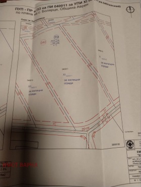 ������ ������� ������