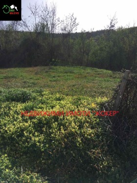 ������� ������ | Imot.bg � ����� ������ 4