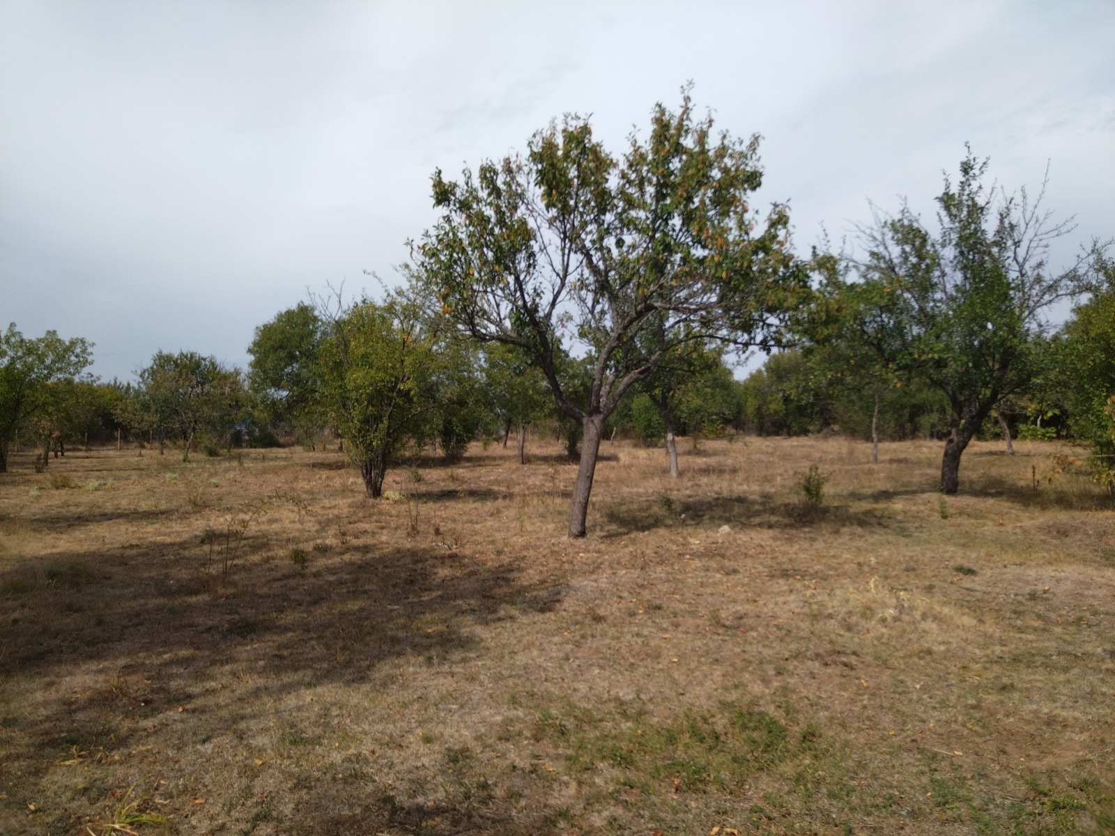 Продава ПАРЦЕЛ, с. Слаковци, област Перник
