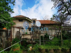 Haus Zerowa korija, region Weliko Tarnowo 1