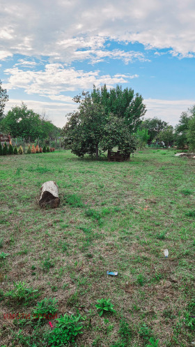 Handlung Marten, region Russe 1