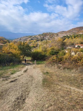 Trama Banichan, región Blagoevgrad 1