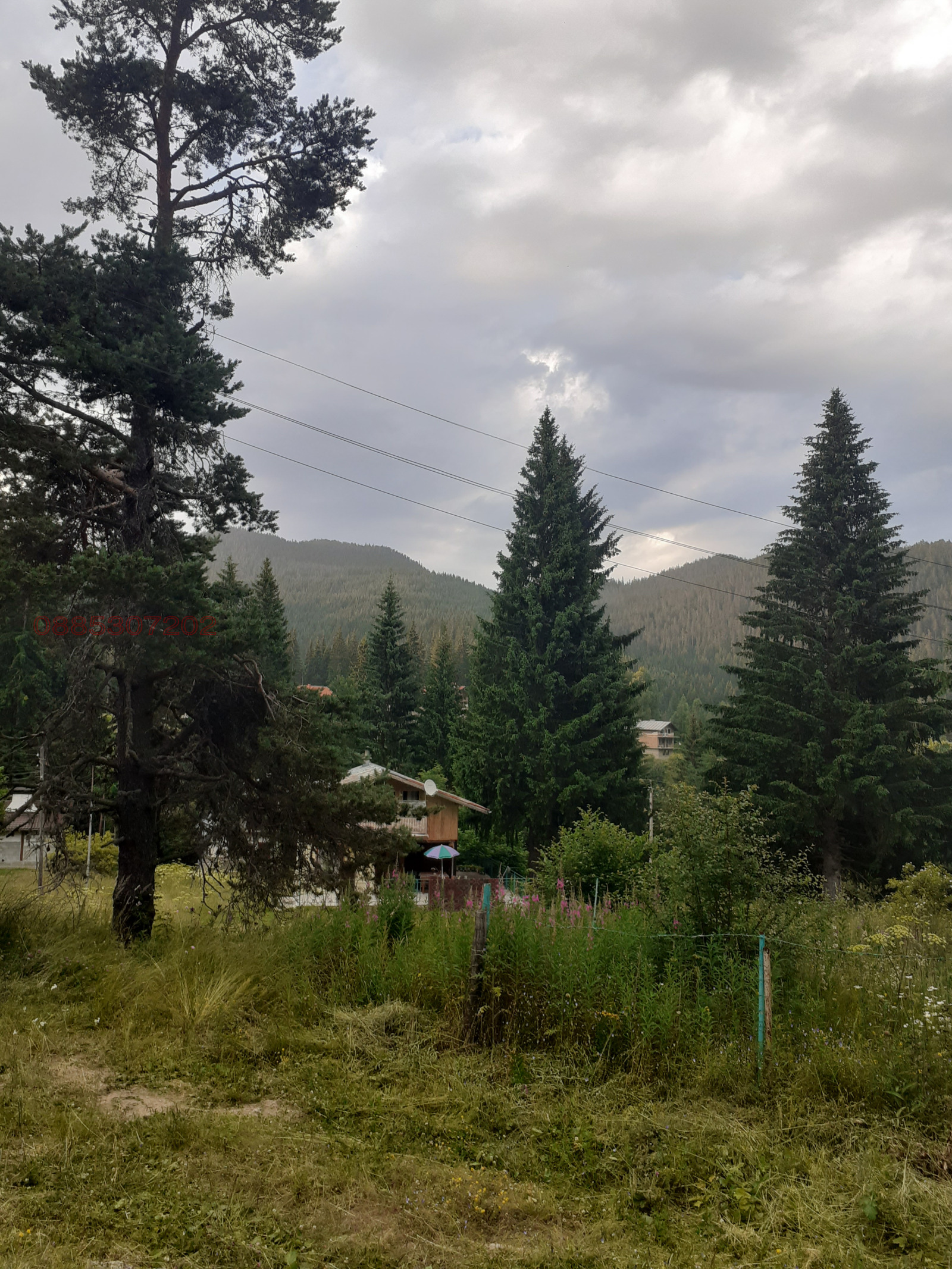 Продава ВИЛА, гр. Батак, област Пазарджик, снимка 5 - Вили - 54252307