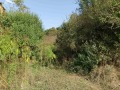 Продава ПАРЦЕЛ, гр. Дряново, област Габрово, снимка 4