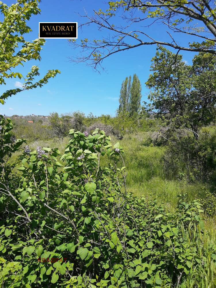 ������� ������ | Imot.bg � ����������� 7