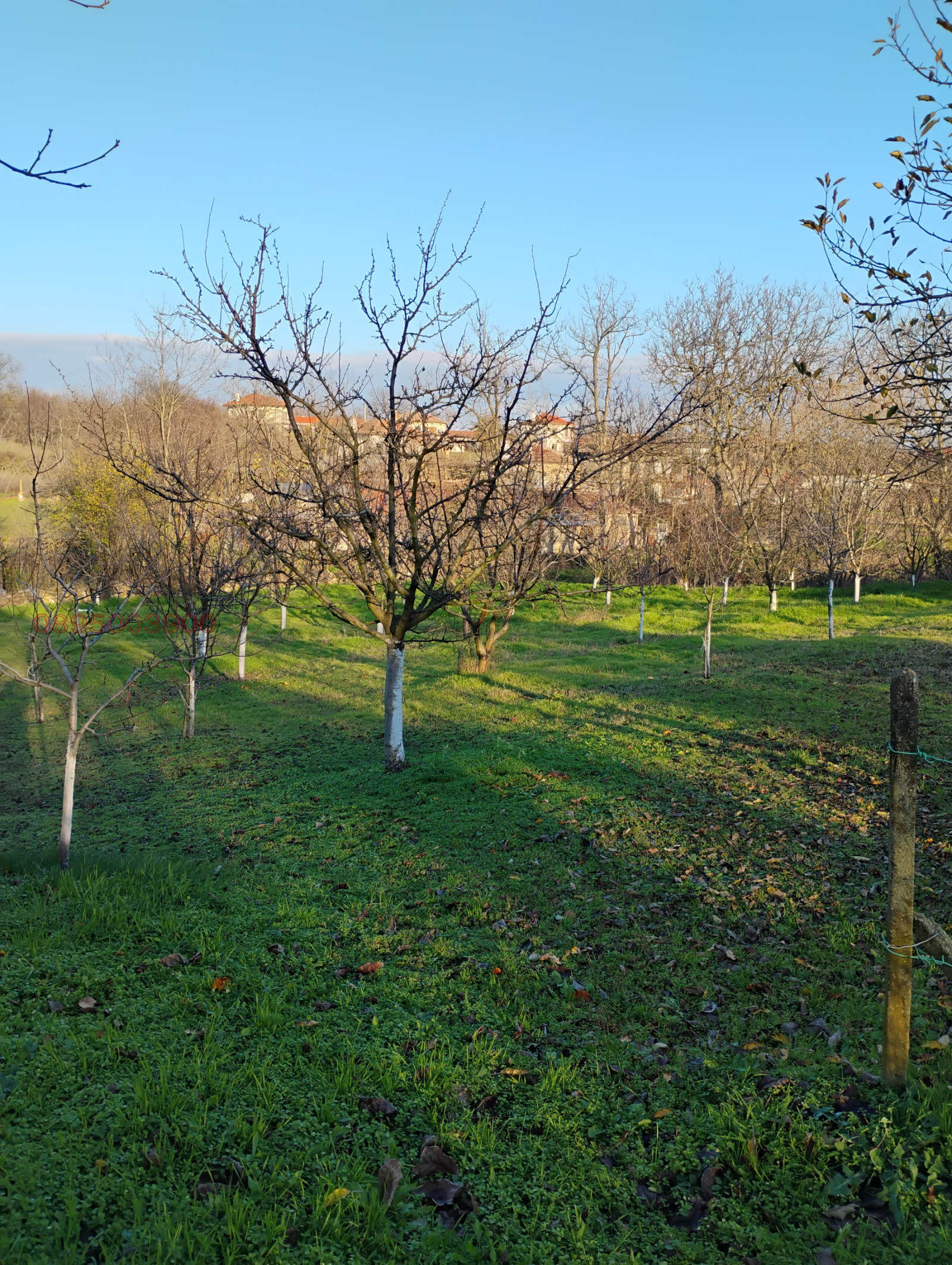 ������� ���� | Imot.bg � ����������� 8