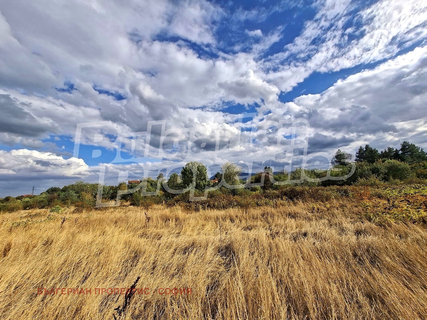 ������� ������ | Imot.bg � ����������� 7