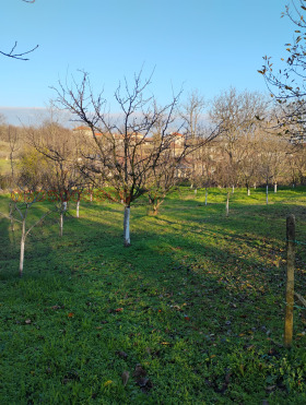 ������� ���� | Imot.bg � ����� ������ 8