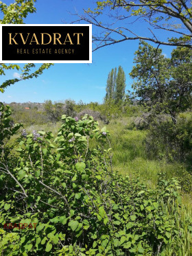 ������� ������ | Imot.bg � ����� ������ 7