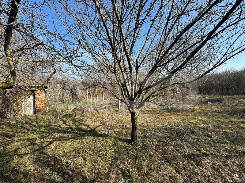 Продается  Дом область Варна , Червенци , 178 кв.м | 14339806 - изображение [8]