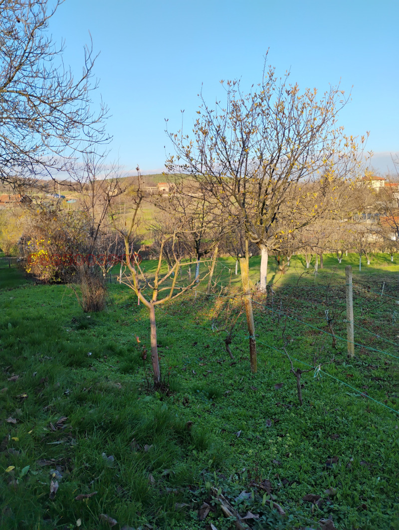 Продава КЪЩА, с. Яворово, област Стара Загора, снимка 4 - Къщи - 52805635