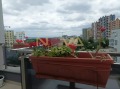 Продава 2-СТАЕН, град Варна, Гранд Мол • 145000 € • 74892541 — Holmes.bg